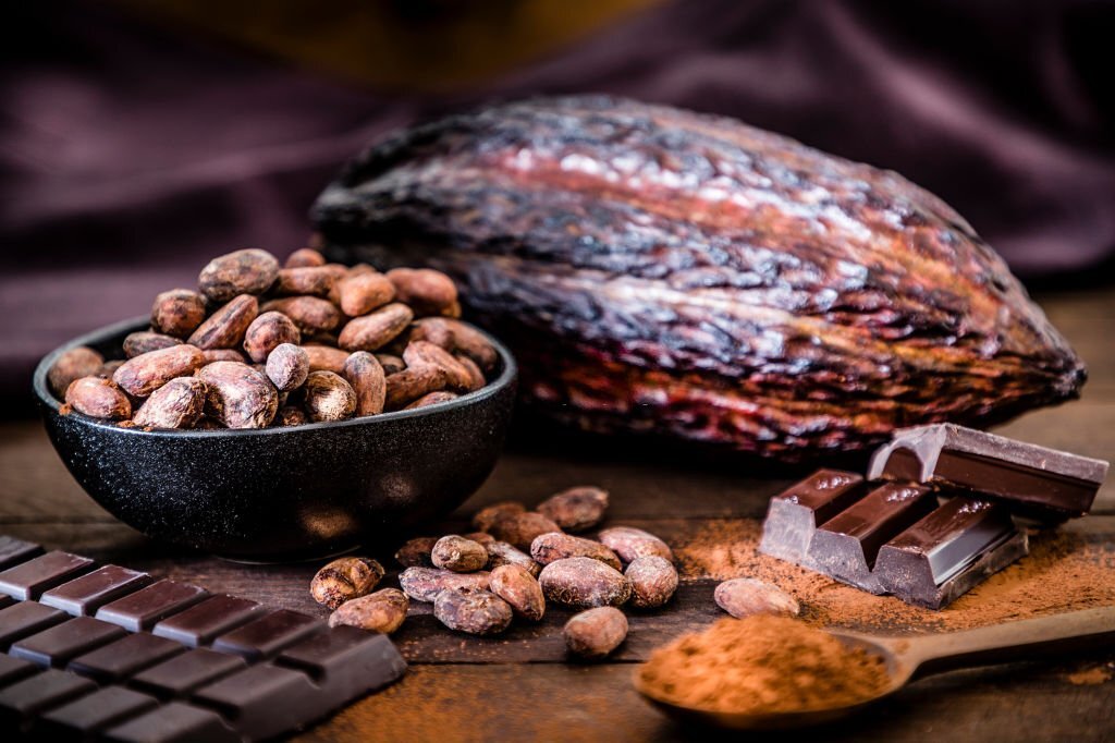Front view of some dark chocolate bars, cocoa powder, cocoa seeds and cocoa pods on a dark brown wooden plank. Selective focus on the cocoa beans. Low key DSLR photo taken with Canon EOS 6D Mark II and Canon EF 24-105 mm f/4L